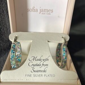 Silver and Blue Hoop Earrings with Turquoise Accents